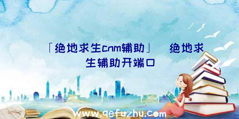 「绝地求生cnm辅助」|绝地求生辅助开端口